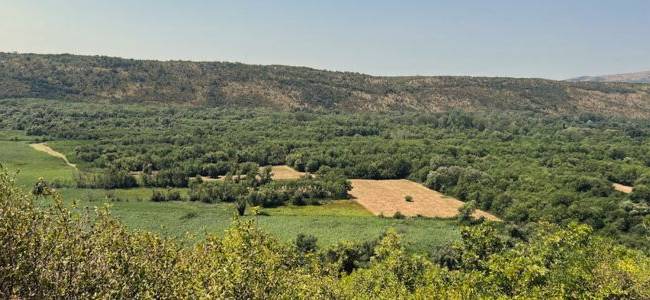 Suacium, Shestani & Krajina Experience