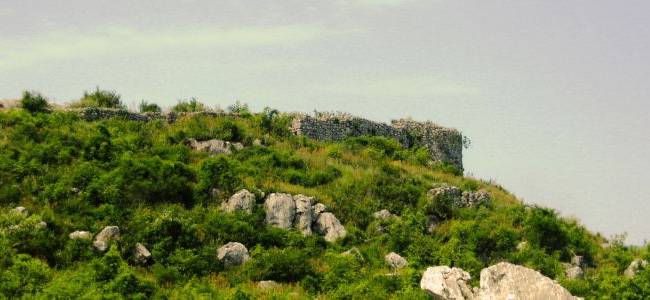 Suacium, Shestani & Krajina Experience
