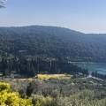 Valdanos Olive Sunset Experience