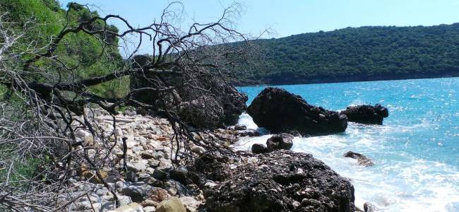 Valdanos Olive Grove Walk